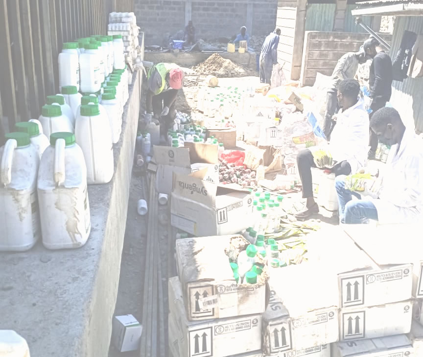 Brand Protection Services