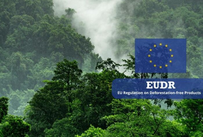The EUDR: What It Takes To Comply