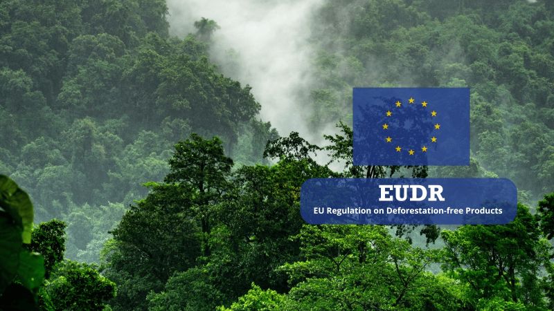 The EUDR: What It Takes To Comply